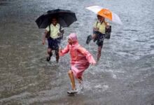 बिहार में मॉनसून की एंट्री, कोसी-सीमांचल के 7 जिलों में पहुंचा मानसून