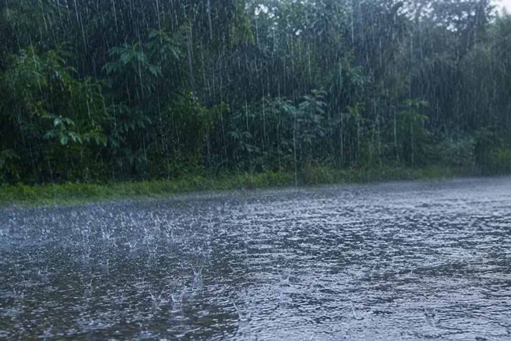 झारखंड में फिर सक्रिय होगा मॉनसून, 17 जिलों में ऑरेंज अलर्ट जारी झारखंड में फिर सक्रिय होगा मॉनसून, 17 जिलों में ऑरेंज अलर्ट जारी