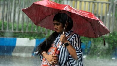Weather Update: 17 राज्यों में भारी बारिश का अलर्ट, चक्रवाती तूफान की चेतावनी; मॉनसून ने पकड़ी रफ्तार Weather Update: 17 राज्यों में भारी बारिश का अलर्ट, चक्रवाती तूफान की चेतावनी; मॉनसून ने पकड़ी रफ्तार