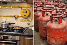 LPG नियम में बड़ा बदलाव! 30 दिन के अंदर पूरा करें ये जरूरी काम, वरना हो सकती है परेशानी