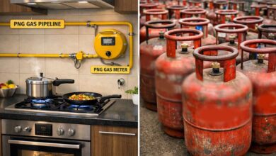 LPG नियम में बड़ा बदलाव! 30 दिन के अंदर पूरा करें ये जरूरी काम, वरना हो सकती है परेशानी LPG नियम में बड़ा बदलाव! 30 दिन के अंदर पूरा करें ये जरूरी काम, वरना हो सकती है परेशानी