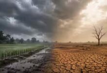 आधी बारिश, सूखा जून! अल नीनो के असर से देश ने देखा सबसे खराब मॉनसून का दौर