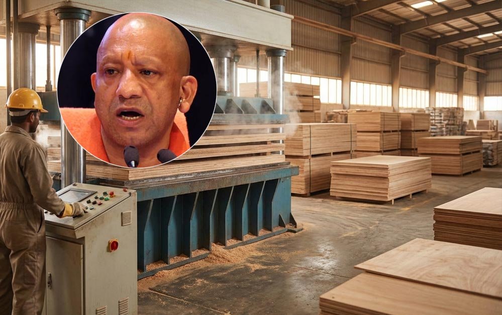 योगी सरकार प्लाईवुड उद्योग के लिए नई एग्रोफॉरेस्ट्री नीति पर कर रही विचार योगी सरकार प्लाईवुड उद्योग के लिए नई एग्रोफॉरेस्ट्री नीति पर कर रही विचार