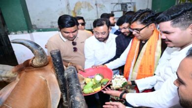जन्मदिवस के अवसर पर वित्त मंत्री  ओपी चौधरी ने की गौ-सेवा, संरक्षण के प्रयासों को सराहा
