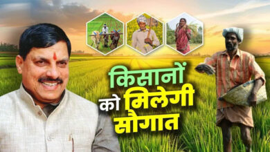 धान महोत्सव में किसानों की बल्ले-बल्ले! CM डॉ. मोहन यादव 1 जुलाई को सिवनी से जारी करेंगे ₹2.82 करोड़ धान महोत्सव में किसानों की बल्ले-बल्ले! CM डॉ. मोहन यादव 1 जुलाई को सिवनी से जारी करेंगे ₹2.82 करोड़