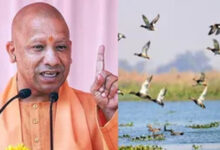 योगी सरकार के प्रयासों से उत्तर प्रदेश में तेजी से हो रहा आर्द्रभूमियों का संरक्षण