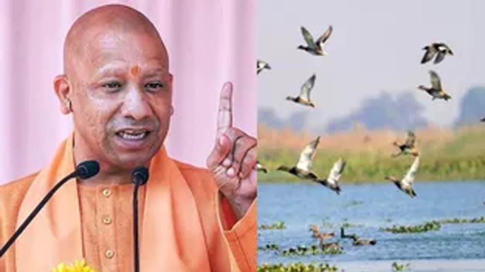 योगी सरकार के प्रयासों से उत्तर प्रदेश में तेजी से हो रहा आर्द्रभूमियों का संरक्षण