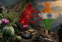 म्यांमार बना दुनिया का सबसे बड़ा अवैध अफीम उत्पादक, NCB रिपोर्ट में बड़ा खुलासा