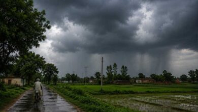 Monsoon 2026 की एंट्री तय! केरल में दस्तक को तैयार मानसून, 6 जून तक भारी बारिश का अलर्ट Monsoon 2026 की एंट्री तय! केरल में दस्तक को तैयार मानसून, 6 जून तक भारी बारिश का अलर्ट