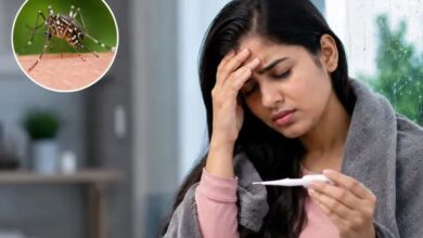 मानसून में मलेरिया का खतरा बढ़ा: जानें इसके शुरुआती लक्षण और समय रहते कैसे पहचानें मानसून में मलेरिया का खतरा बढ़ा: जानें इसके शुरुआती लक्षण और समय रहते कैसे पहचानें