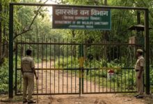 झारखंड के सभी वन क्षेत्रों में 1 जुलाई से 3 महीने तक पर्यटन और गतिविधियों पर रोक