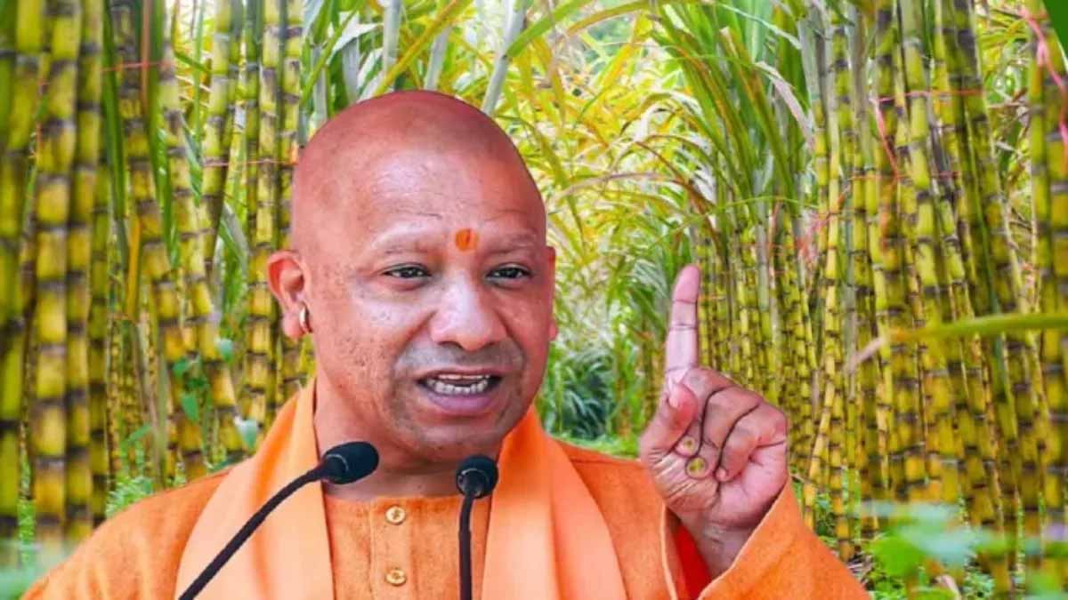 यूपी के गन्ना किसानों को 3.22 लाख करोड़ का रिकॉर्ड भुगतान, बदली खेती की तस्वीर यूपी के गन्ना किसानों को 3.22 लाख करोड़ का रिकॉर्ड भुगतान, बदली खेती की तस्वीर