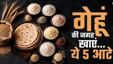 गेहूं का हेल्दी विकल्प: 5 हाई-फाइबर आटे जो बढ़ाएं सेहत