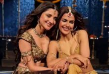 ‘Naagin 7’ फिनाले ट्विस्ट: राधिका पर जानलेवा हमला, कहानी में बड़ा मोड़