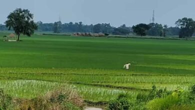पटना समेत 11 शहरों में सैटेलाइट टाउनशिप की जमीन पर लगी खरीद-बिक्री की रोक हटाई गई पटना समेत 11 शहरों में सैटेलाइट टाउनशिप की जमीन पर लगी खरीद-बिक्री की रोक हटाई गई