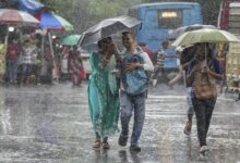 मानसून से पहले ही मेहरबान मौसम! MP में कोटे से 65% ज्यादा बारिश, ग्वालियर समेत कई जिलों में आंधी-पानी का अलर्ट