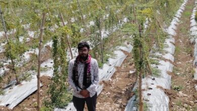 पारंपरिक खेती छोड़ करेले से बदली किस्मत, किसान दीपक ने कमाए 2.95 लाख रुपये का शुद्ध मुनाफा पारंपरिक खेती छोड़ करेले से बदली किस्मत, किसान दीपक ने कमाए 2.95 लाख रुपये का शुद्ध मुनाफा