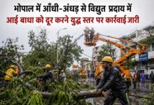 भोपाल में आँधी-अँधड़ से विद्युत प्रदाय में आई बाधा को दूर करने युद्ध स्तर पर कार्रवाई जारी