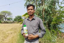 नैनो तकनीक से शैलेंद्र ने पकड़ी आधुनिक खेती की राह, बने मिसाल