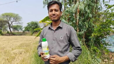 नैनो तकनीक से शैलेंद्र ने पकड़ी आधुनिक खेती की राह, बने मिसाल नैनो तकनीक से शैलेंद्र ने पकड़ी आधुनिक खेती की राह, बने मिसाल