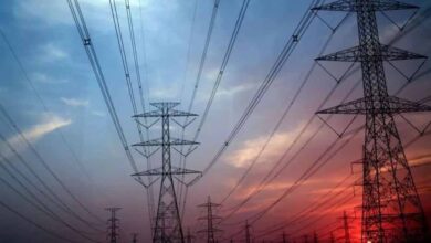 हाथी प्रभावित क्षेत्र में 33 केवी लाइन विस्तार पर हाईकोर्ट सख्त, सरकारों और बिजली कंपनी से मांगा जवाब हाथी प्रभावित क्षेत्र में 33 केवी लाइन विस्तार पर हाईकोर्ट सख्त, सरकारों और बिजली कंपनी से मांगा जवाब