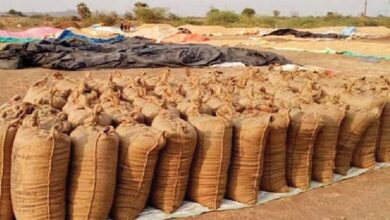 Bastar में उठाव नहीं होने से करोड़ों की धान सड़ी, किसानों की मेहनत पर फिरा पानी Bastar में उठाव नहीं होने से करोड़ों की धान सड़ी, किसानों की मेहनत पर फिरा पानी