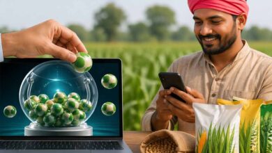 बीज उत्पादन योजना के लिए 10 से 24 तक होंगे पंजीयन, किसान रखें जरूरी दस्तावेज तैयार