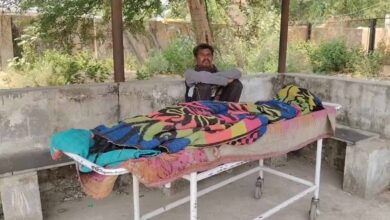 धमतरी में मधुमक्खियों का कहर, हमले में सास की मौत; दामाद की हालत गंभीर धमतरी में मधुमक्खियों का कहर, हमले में सास की मौत; दामाद की हालत गंभीर