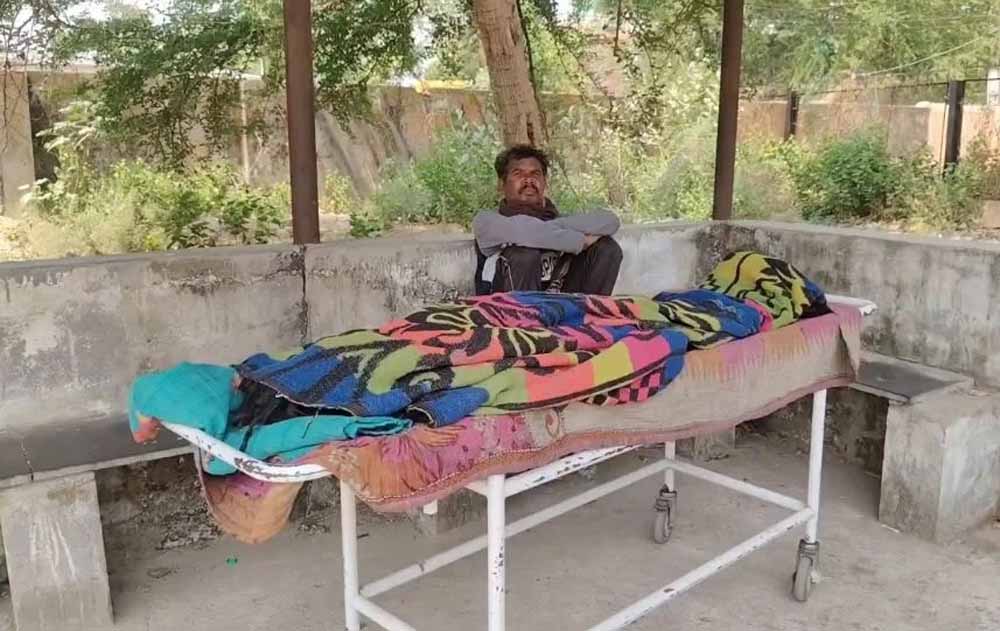 धमतरी में मधुमक्खियों का कहर, हमले में सास की मौत; दामाद की हालत गंभीर धमतरी में मधुमक्खियों का कहर, हमले में सास की मौत; दामाद की हालत गंभीर
