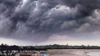 बस्तर में समय से पहले पहुंच सकता है मानसून, हवाओं की रफ्तार पर टिकी आगे बढ़ने की चाल