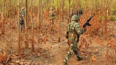 कांकेर के जंगल में नक्सलियों का विस्फोटक डंप बरामद, 4 बंदूकें और 2 वायरलेस सेट मिले कांकेर के जंगल में नक्सलियों का विस्फोटक डंप बरामद, 4 बंदूकें और 2 वायरलेस सेट मिले