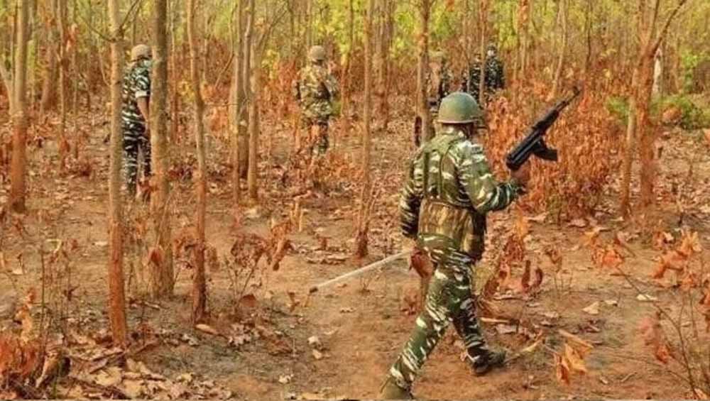 कांकेर के जंगल में नक्सलियों का विस्फोटक डंप बरामद, 4 बंदूकें और 2 वायरलेस सेट मिले कांकेर के जंगल में नक्सलियों का विस्फोटक डंप बरामद, 4 बंदूकें और 2 वायरलेस सेट मिले