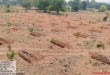 जल संरक्षण का महाअभियान: मनरेगा से गांवों में बढ़ रहा जल भंडार, हरियाली और आजीविका