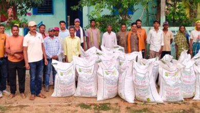 तिलहन उत्पादन बढ़ाने की दिशा में सशक्त पहल, कोटमीकला के किसानों को मिला उन्नत मूंगफली बीज