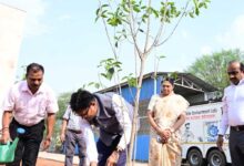 विश्व पर्यावरण दिवस पर मंत्री ओपी चौधरी ने किया मौल पौधे का रोपण