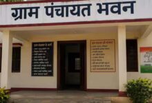 2011 जनगणना के आधार पर बिहार की सभी ग्राम पंचायतों का परिसीमन होगा