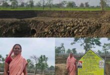 बारिश के साथ दिखने लगा ‘मोर गांव-मोर पानी’ अभियान का असर