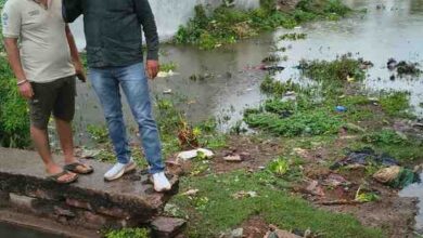 बारिश में नगरवासियों के बीच पहुंचे नपा अध्यक्ष ईश्वर सिंह ठाकुर, अधिकारियों को दिए समस्याओं के तत्काल समाधान के निर्देश बारिश में नगरवासियों के बीच पहुंचे नपा अध्यक्ष ईश्वर सिंह ठाकुर, अधिकारियों को दिए समस्याओं के तत्काल समाधान के निर्देश