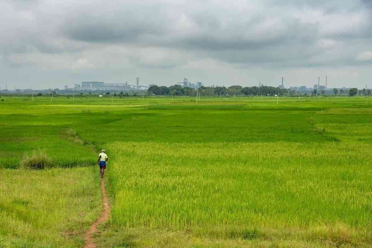 राजस्व सुधारों की नई इबारत लिखता छत्तीसगढ़: ‘ऑटो म्यूटेशन’ और ‘ऑटो डायवर्सन’ से जमीन संबंधी सेवाओं में ऐतिहासिक बदलाव राजस्व सुधारों की नई इबारत लिखता छत्तीसगढ़: ‘ऑटो म्यूटेशन’ और ‘ऑटो डायवर्सन’ से जमीन संबंधी सेवाओं में ऐतिहासिक बदलाव
