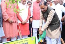 ‘एक पेड़ मां के नाम’ अभियान 3.0, विधानसभा परिसर में सीएम विष्णु देव साय और डॉ. रमन सिंह ने लगाया रुद्राक्ष का पौधा