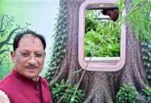 आज लगाया गया हर पौधा आने वाली पीढ़ियों के सुरक्षित भविष्य का आधार बनेगा : मुख्यमंत्री विष्णुदेव साय