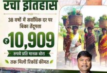 गीदम समिति ने रचा इतिहास, 38 वर्षों में सबसे अधिक कीमत पर बिका तेंदूपत्ता गीदम समिति ने रचा इतिहास, 38 वर्षों में सबसे अधिक कीमत पर बिका तेंदूपत्ता