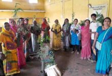 मुख्यमंत्री विष्णुदेव साय के नेतृत्व में पर्यावरण संरक्षण को जनआंदोलन बनाने की अभिनव पहल
