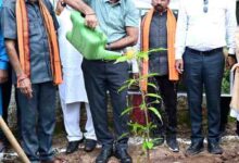 मुख्यमंत्री विष्णुदेव साय के नेतृत्व में ‘एक पेड़ मां के नाम 3.0’ अभियान को मिल रहा जन-जन का साथ