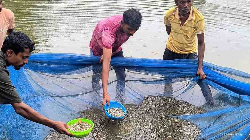 बस्तर की मनकी बघेल ने स्पान संवर्धन योजना से 2 माह में कमाए 15 हजार रुपये,अब अंगुलिका उत्पादन से बढ़ाएंगी आमदनी