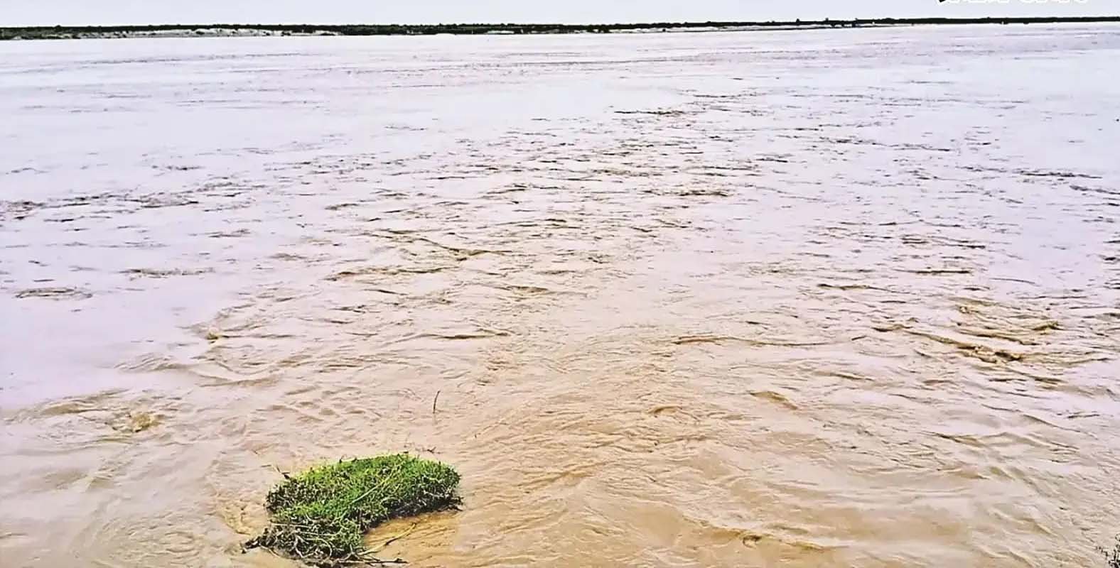 नेपाल की बारिश से उफनी गंडक, वाल्मीकीनगर बराज से बढ़ाया गया पानी का डिस्चार्ज नेपाल की बारिश से उफनी गंडक, वाल्मीकीनगर बराज से बढ़ाया गया पानी का डिस्चार्ज