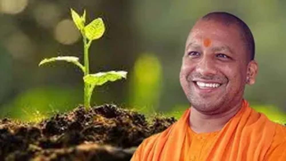 सीएम योगी ने शुरू किया पौधरोपण महायज्ञ, 35 करोड़ पौधे लगाने का लक्ष्य सीएम योगी ने शुरू किया पौधरोपण महायज्ञ, 35 करोड़ पौधे लगाने का लक्ष्य