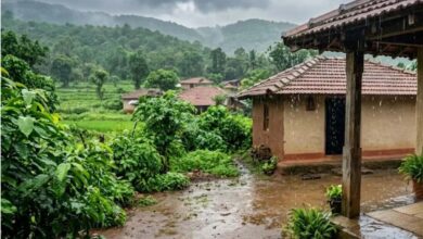 झारखंड में फिर सक्रिय होगा मॉनसून, 28 जुलाई तक भारी बारिश का अलर्ट जारी
