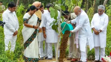 दिल्ली के रिज क्षेत्र की बदलेगी तस्वीर, 70 लाख पौधों से बनेगा राजधानी का हरित फेफड़ा