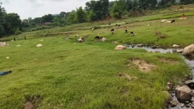 कम बारिश से बरवाडीह में बालू संकट की आहट, नदियों में नहीं हुआ प्राकृतिक पुनर्भरण